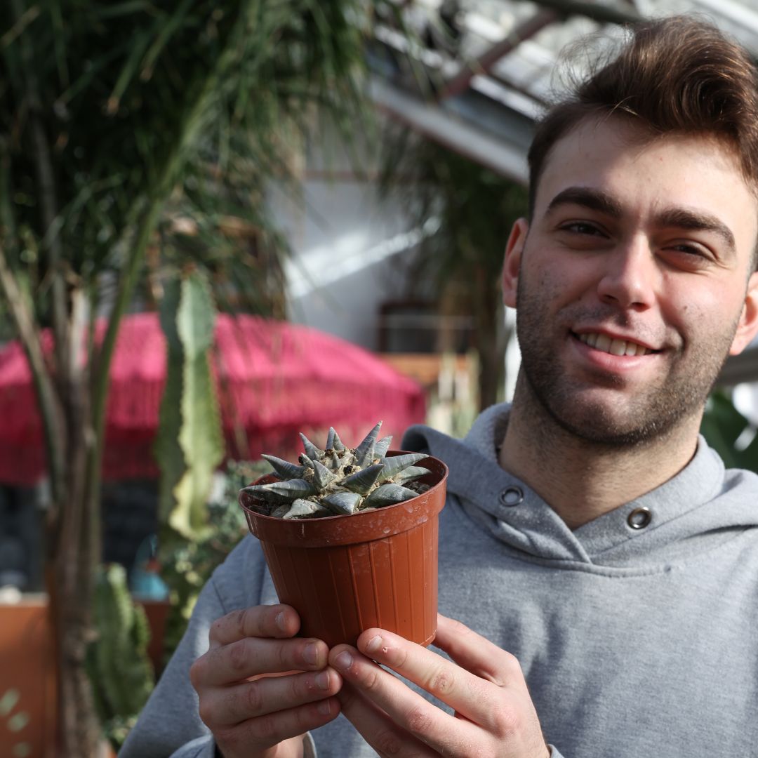 Ariocarpus retusus Ø 12