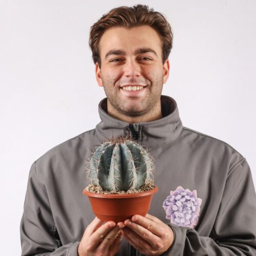 Melocactus azureus Ø 17