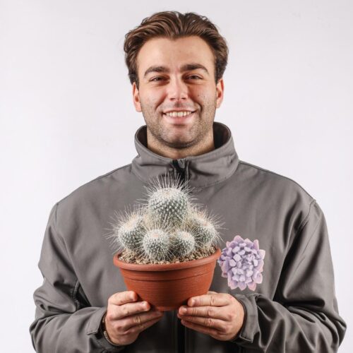 Mammillaria geminispina longispina Ø 20