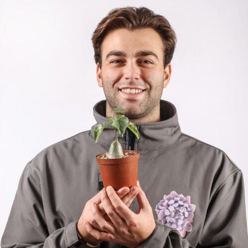 Gerrardanthus macrorhizus Ø 10,5