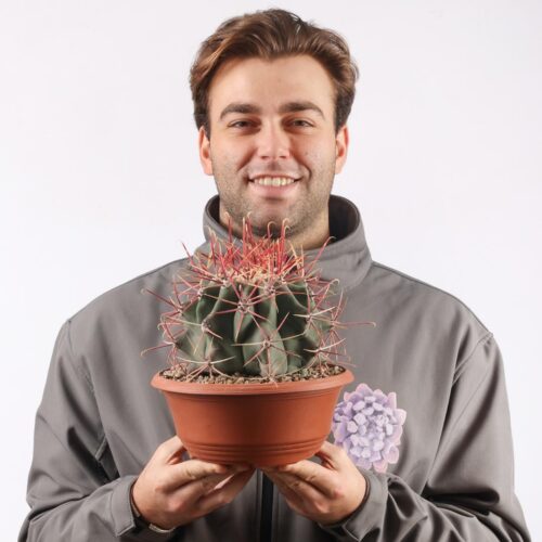 Ferocactus emoryi Ø 25