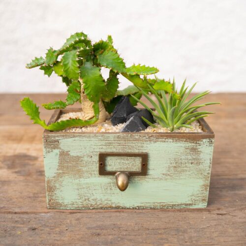 Composition Mélange vert