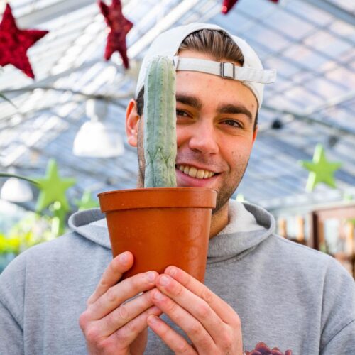 Euphorbia abdelkuri Ø 14 cm