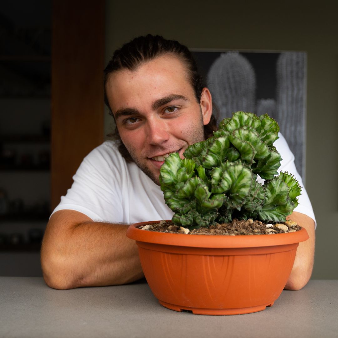 Euphorbia lactea crestata Ø 25 cm