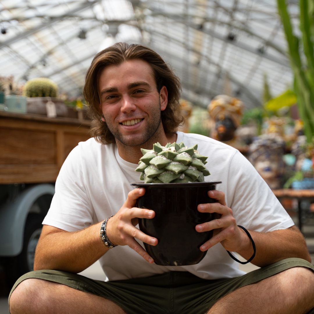 Ariocarpus cauliflower Ø 20 cm – Image 4