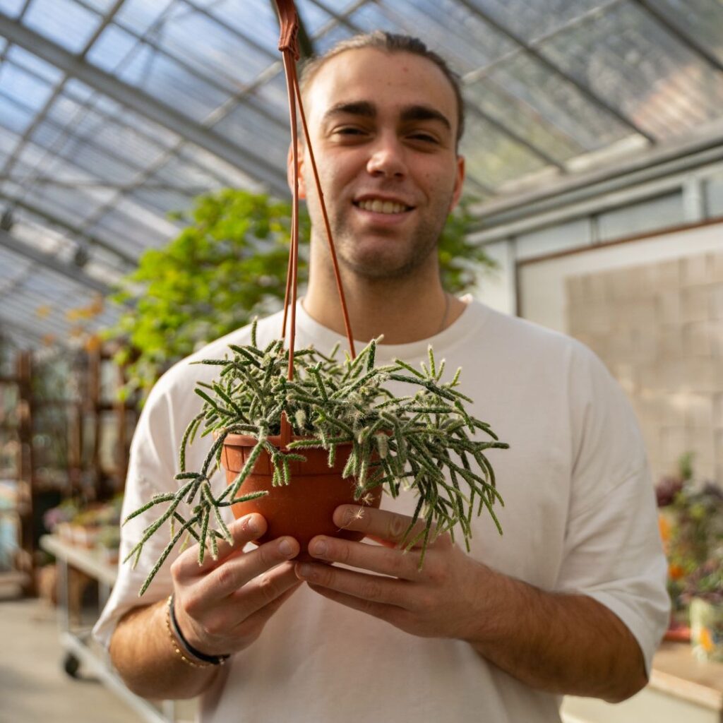 Rhipsalis pilocarpa Ø 14 cm